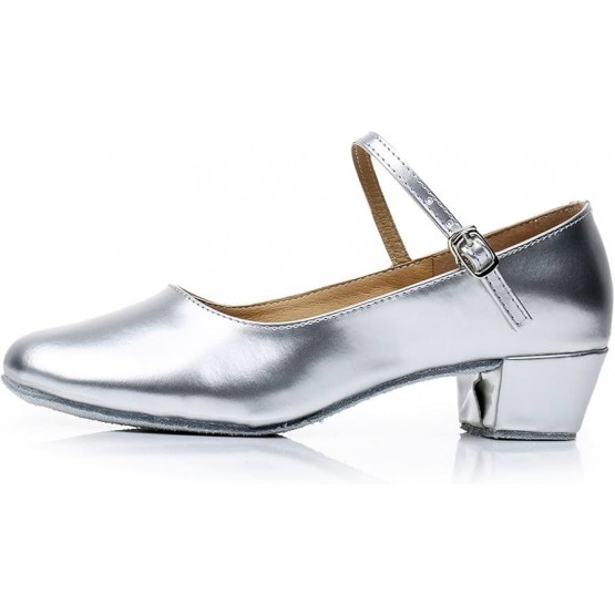 ვერცხლისფერი ფეხსაცმელი