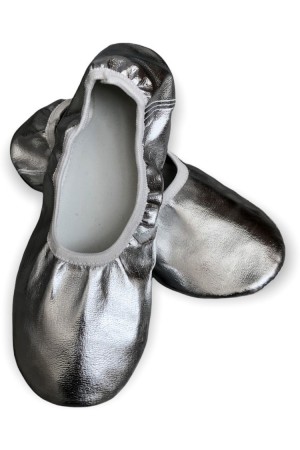 ვერცხლისფერი ჩუსტ�...