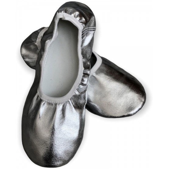 ვერცხლისფერი ჩუსტი