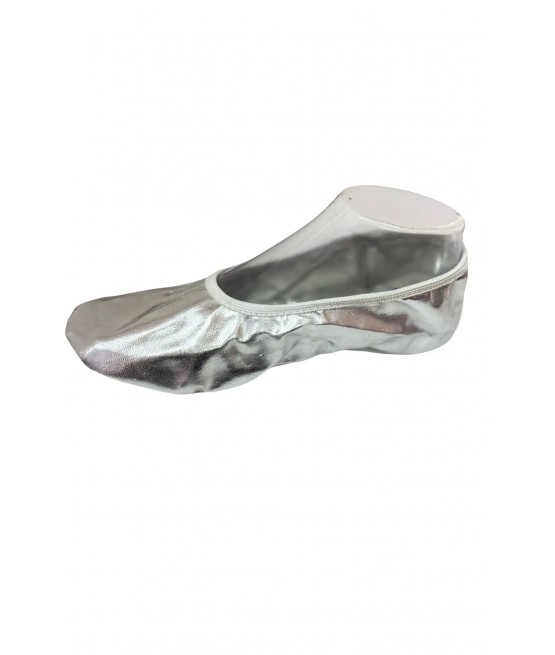 ვერცხლისფერი ჩუსტი