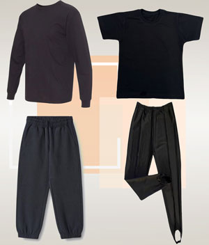 ბიჭის სამოსი